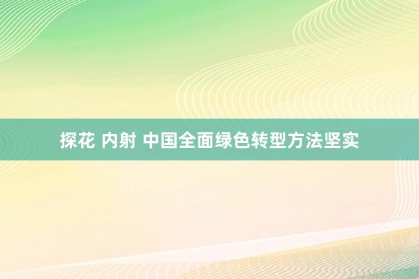 探花 内射 中国全面绿色转型方法坚实