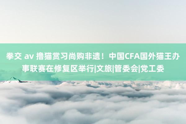 拳交 av 撸猫赏习尚购非遗！中国CFA国外猫王办事联赛在修复区举行|文旅|管委会|党工委