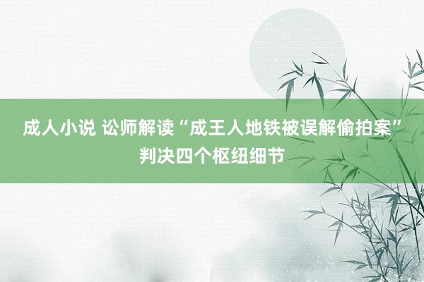 成人小说 讼师解读“成王人地铁被误解偷拍案”判决四个枢纽细节