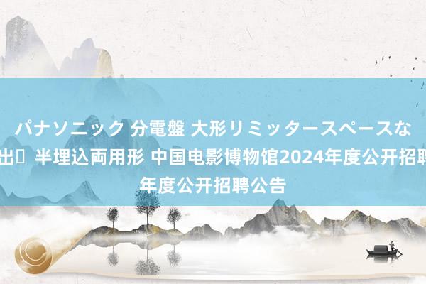 パナソニック 分電盤 大形リミッタースペースなし 露出・半埋込両用形 中国电影博物馆2024年度公开招聘公告