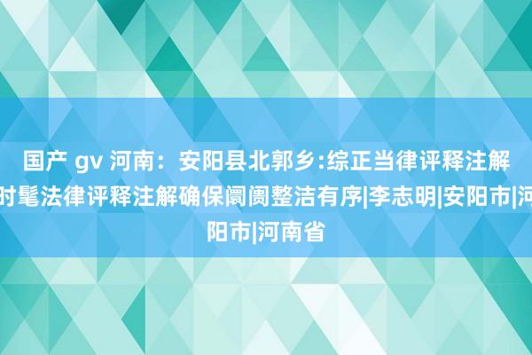 国产 gv 河南：安阳县北郭乡:综正当律评释注解大队时髦法律评释注解确保阛阓整洁有序|李志明|安阳市|河南省