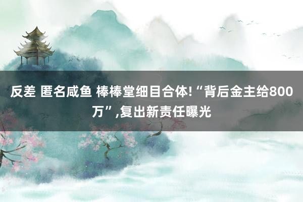 反差 匿名咸鱼 棒棒堂细目合体!“背后金主给800万”,复出新责任曝光