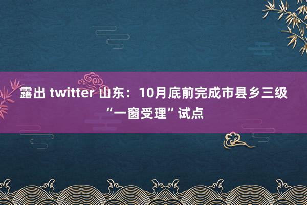 露出 twitter 山东：10月底前完成市县乡三级“一窗受理”试点