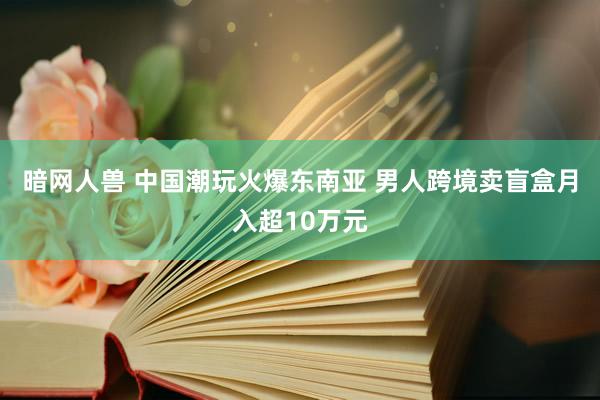 暗网人兽 中国潮玩火爆东南亚 男人跨境卖盲盒月入超10万元